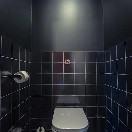 Jost Centre Gare מלון 3*