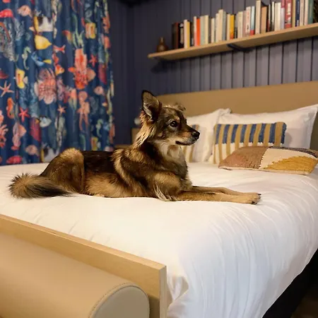 Hotel Jost Centre Gare Le Havre