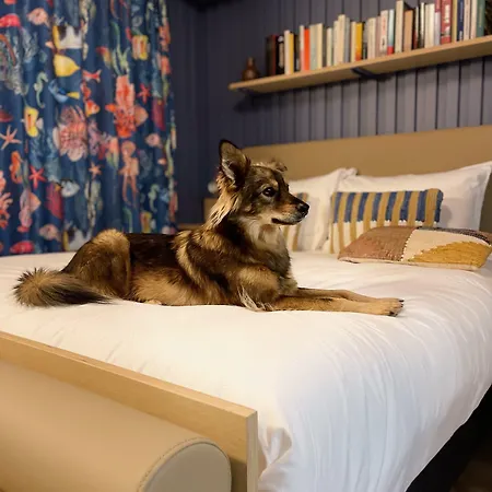 Jost Centre Gare Hotel Le Havre