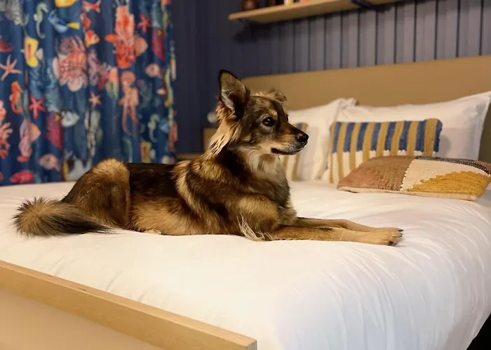 Hotel Jost Centre Gare Le Havre