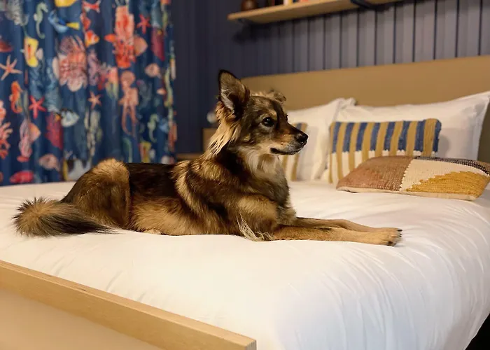 Jost Centre Gare Hotel Le Havre